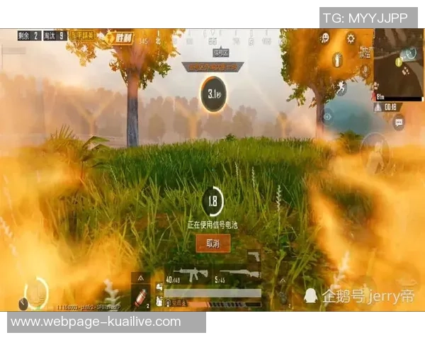 和平精英热议EDG速度之争引发玩家热烈讨论与不同观点碰撞