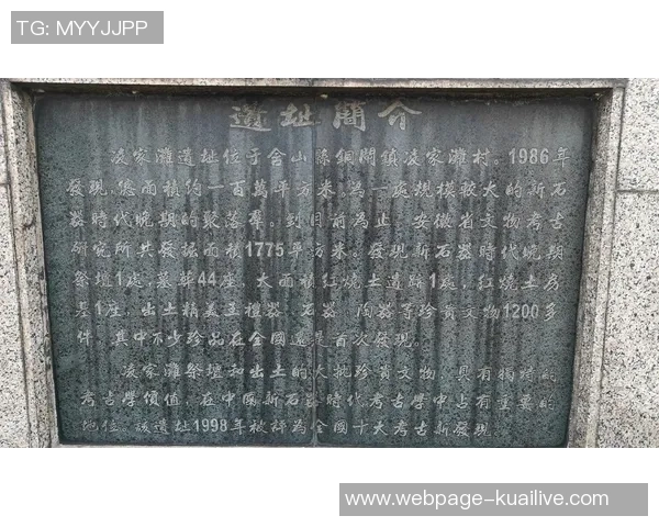 探索埃斯特旺的魅力与历史深度揭示其文化底蕴与未来发展潜力