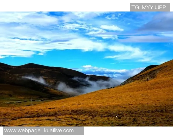 李泓澎的成长之路与艺术追求：从初心到辉煌的心灵旅程